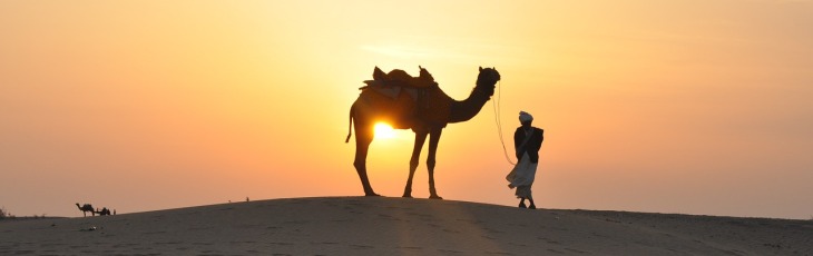 #MondayLead: Successful negotiation with the 18th camel – A story to inspire