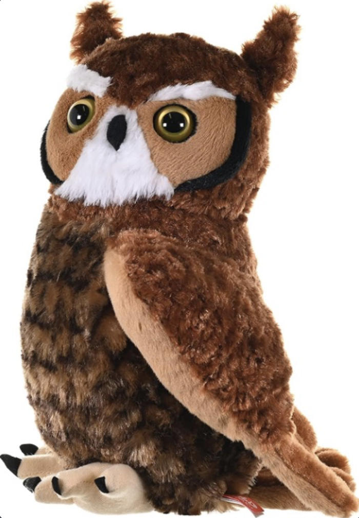 ai co owl